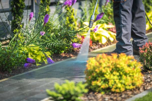 Best Driveway Pressure Washing  in Baldwin City, KS