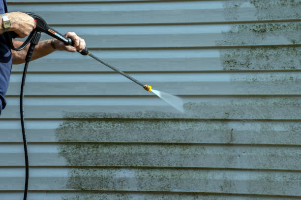 Best Gutter Cleaning  in Baldwin City, KS
